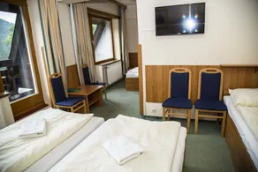 Parkhotel Harrachov - Habitación
