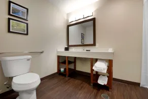 Comfort Inn & Suites North Mankato - Salle de bain