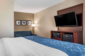 Comfort Suites Pell City near Logan Martin Lake - Chambre