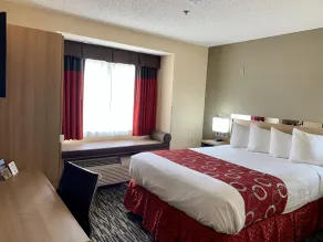 Microtel Inn & Suites by Wyndham Charleston - Chambre