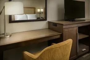 Hampton Inn & Suites Phoenix/Scottsdale - Chambre