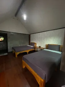Jungle guest house - Chambre