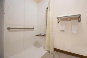 Red Lion Inn & Suites Adairsville - Baño