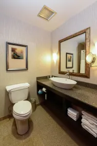 Wheeling Island Hotel-Casino-Racetrack - Salle de bain