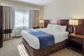 Comfort Suites Normal University area - Chambre