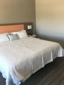 Hampton Inn Midland South - Værelse