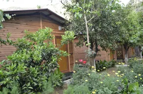 Olympos Mercan Bungalow - Room