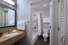 Courtyard by Marriott Dallas Arlington Entertainment District - Salle de bain