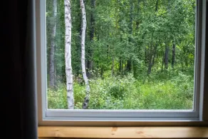 Talkeetna Wilderness Lodge & Cabin Rentals - Ausblick vom Zimmer