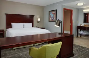 Hampton Inn & Suites Denver/Highlands Ranch - Chambre