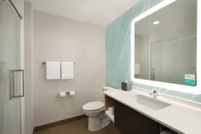 avid hotel Boston Logan Airport - Revere by IHG - Badeværelse