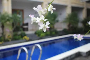 The Kutaya - Pool
