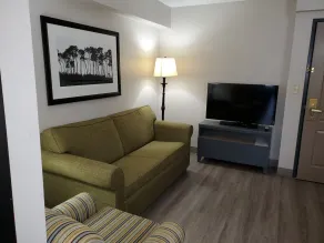 Country Inn & Suites by Radisson, Buford at Mall of Georgia, GA - Chambre
