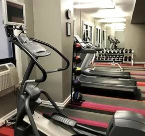 MaxR | Max King - Salle de remise en forme