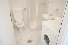Apartment Tržaška with free parking - Baño