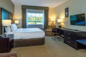 Comfort Inn & Suites - Chambre