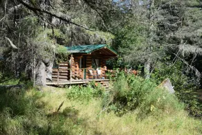 Alaska Creekside Cabins in Seward - Værelse
