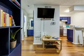 1 Mi to UT & Med Centers! Updated Austin Studio - Innenbereich