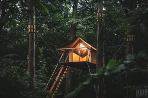 Boomkamp treehouses - Værelse