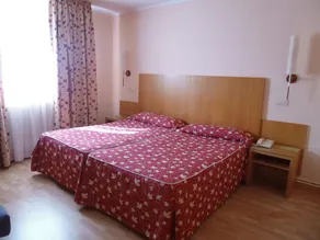 Hotel Alisa - Chambre