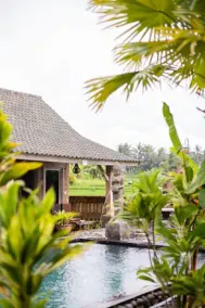 Ananda JJ Ubud Resort & Spa - Vue de la chambre
