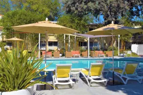Wild Palms, a JdV by Hyatt Hotel - Piscine