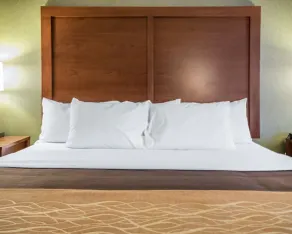 Comfort Inn Winchester - Rom