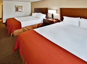 Holiday Inn Express Hotel & Suites - Dubuque West by IHG - Chambre
