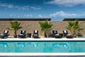 SpringHill Suites by Marriott Milpitas Silicon Valley - Piscine