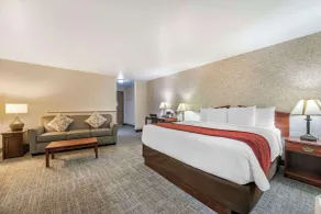 SureStay Plus Hotel by Best Western Buffalo - Værelse