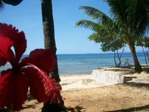 Toris Backpackers Paradise - Pool