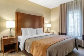 Comfort Inn & Suites Suwanee - Sugarloaf - Chambre