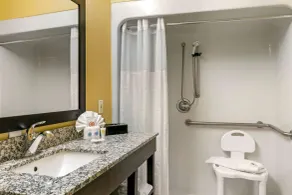 Comfort Inn & Suites Amarillo East - Salle de bain