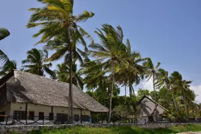 Kilifi Bay Beach Resort - Room