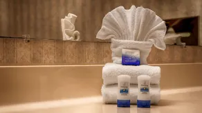 Best Western Plus Rama Inn & Suites - Baño