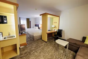 SpringHill Suites by Marriott Albany Latham-Colonie - Chambre