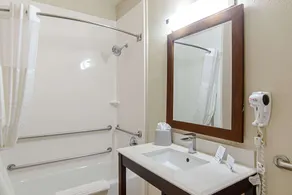 Comfort Suites NW Dallas Near Love Field - Bathroom