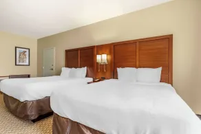 Comfort Suites Medical Center near Six Flags - Chambre