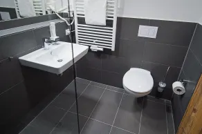 Alb Inn - Hotel & Apartments - Casa de banho