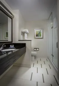 Fairfield Inn & Suites by Marriott Buffalo Amherst/University - Salle de bain