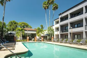 Courtyard St. Petersburg Clearwater - Piscine