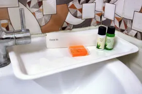Hotel Global Inn by Quality Inn  - Salle de bain