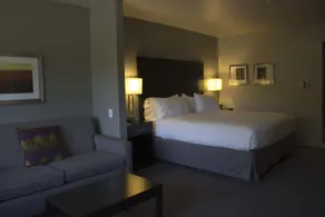 Holiday Inn Express and Suites Tahlequah by IHG - Room