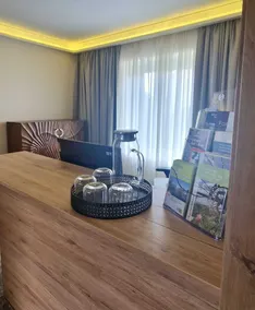 Hotel Rhin Inn - Receção