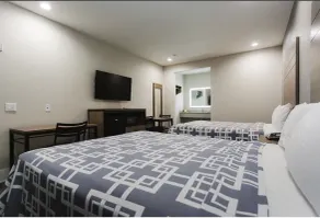 Palace Inn - Chambre