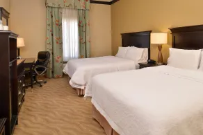 Hampton Inn Van Horn - Chambre