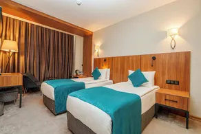 Library Hotel Erciyes - Room