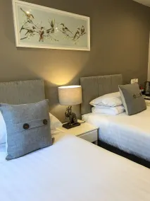 Black Horse Hotel - Room