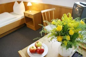 Gasthaus zur Linde - Room