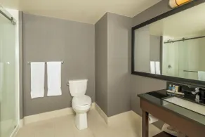 Comfort Inn - Salle de bain